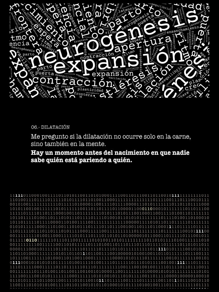 PANEL-06-DILATACIÓN