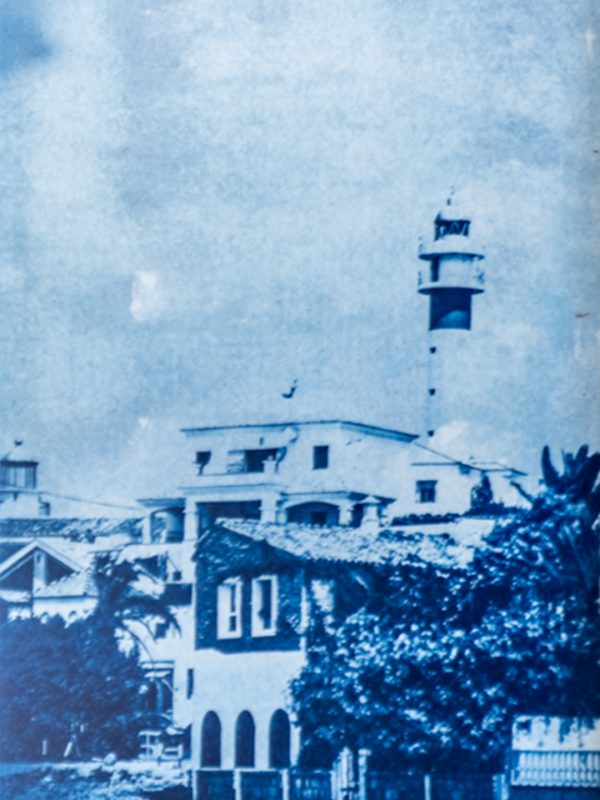 04 CIANOTIPIAS 01